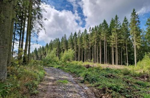 Signy-lAbbaye Apartment | Charming Apartment in Ardennes