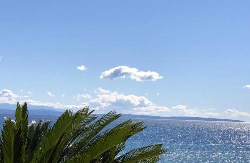 Novigrad Apartment | Charming Apartment in Novigrad, 45 sqm, with Terrace