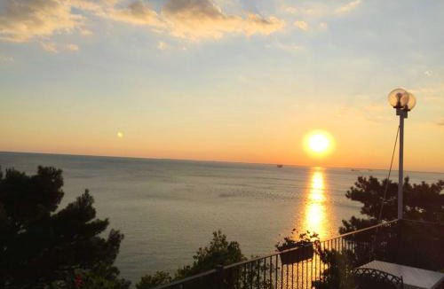 Novigrad Apartment | Charming Apartment in Novigrad, 45 sqm, with Terrace