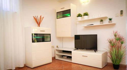 Novigrad Apartment | Charming Apartment in Novigrad, 45 sqm, with Terrace
