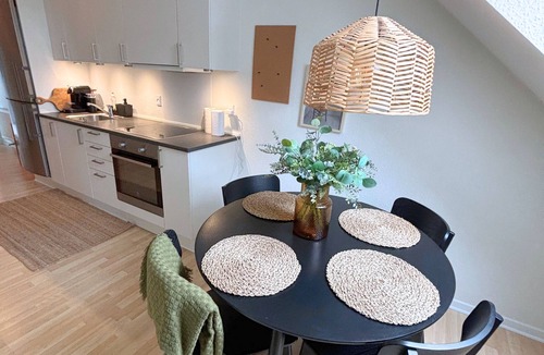 Odense Apartment | Charming apartment in the heart of Odense with roof view