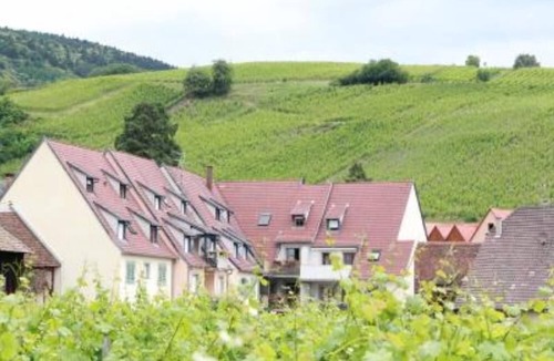 Riquewihr Apartment | Charming apartment with vineyard view