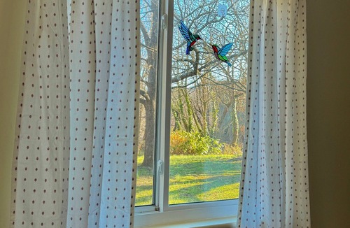 Asheville Cottage | Charming Asheville Stay- Spring Blooms, Great Location, Hot Tub, Fire Pit, Pets!
