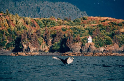 Halibut Cove Cabin | Charming Boathouse Cabin