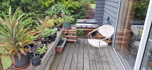 Whitianga House | Charming cabin deleted