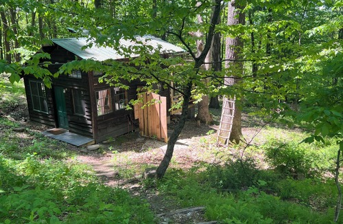 Ghent Cabin | Charming Cabin in the Woods. POOL!