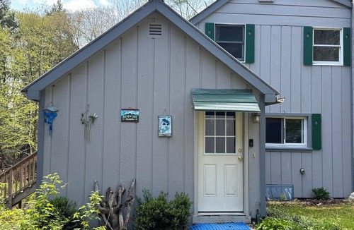 Denmark Cabin | Charming cabin,Lake access, Serene setting! Backyard bubbling brook!Pets welcome