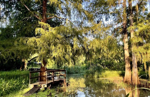 Bayou Goula Cabin | Charming cabin on Lower Grand River — Bayou Pigeon, Louisiana