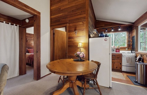 Langley Cabin | Charming cabin w/wifi, private backyard & convenient location