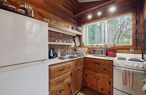Langley Cabin | Charming cabin w/wifi, private backyard & convenient location