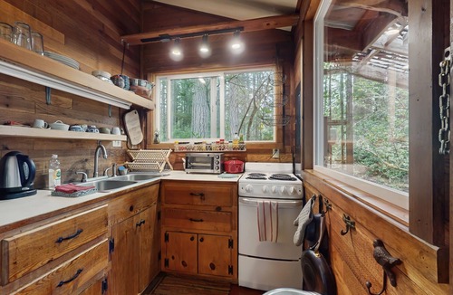 Langley Cabin | Charming cabin w/wifi, private backyard & convenient location