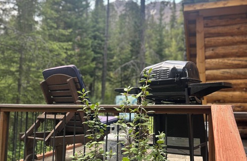 Cooke City-Silver Gate Cabin | Charming cabin with WiFi in Silver Gate/Cooke City