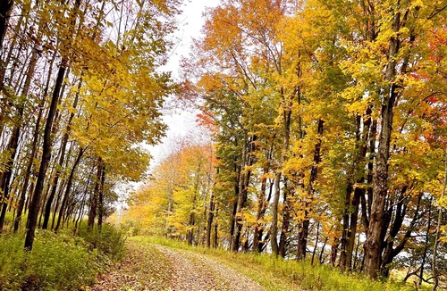 Hartwick RV Rental | Charming Campsite in Hartwick, NY few miles from Cooperstown & area attractions