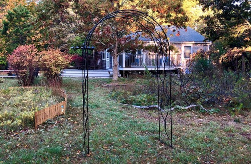 Truro Cottage | Charming Cape Cod cottage in Truro