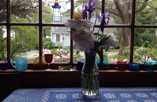 South Chatham Cottage | Charming Cape Cottage in Chatham, 2 Min From Beach