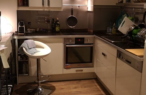 Les Bastions Apartment | Charming, central 1 BR vegetarian apartment in Geneva