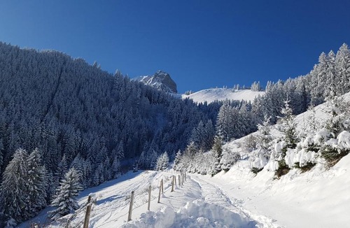 Moleson Ski Chalet | Charming chalet with panoramic view and private parking in Gruyère