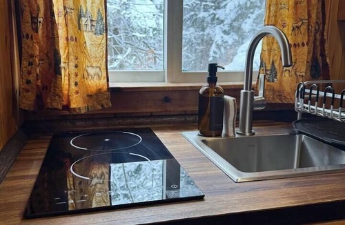 Lake Placid Cabin | Charming Colden Adirondack Cabin