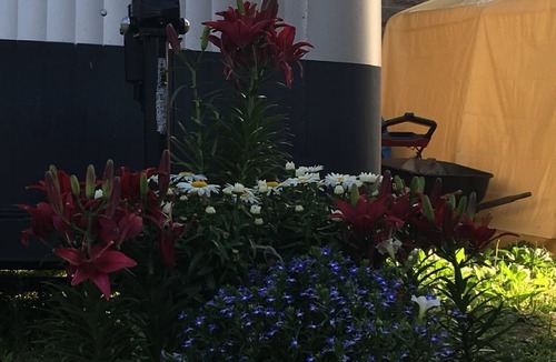 Medford House | Charming Colonial Two Bedroom Basement Apartment