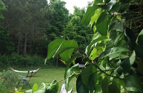 Bourriot-Bergonce Apartment | Charming, comfortable studio with jacuzzi