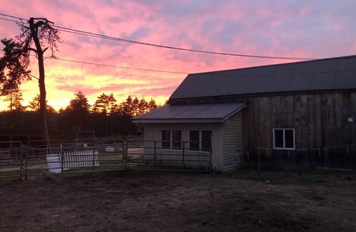 Madison Cottage | Charming Comfortable Cottage at Windcroft Stables
