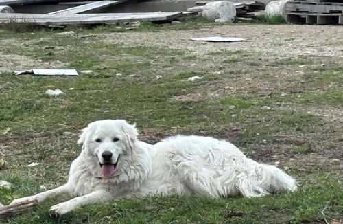 Madison Cottage | Charming Comfortable Cottage at Windcroft Stables