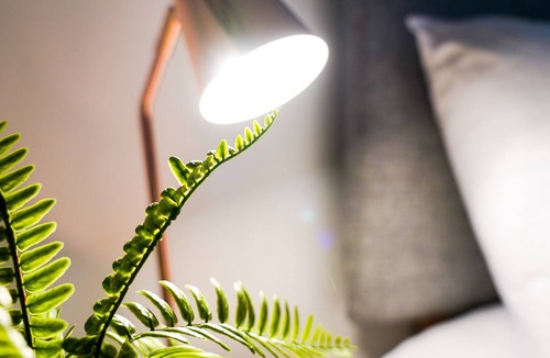 Tea Green Apartment | Charming Corbridge Apartment