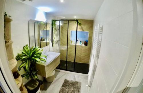 Beaulieu-Mangin House | Charming & cosy rooms Nantes (chambres chez l'habitant)