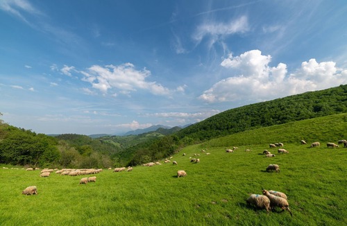 Arudy House | Charming cottage in Béarn