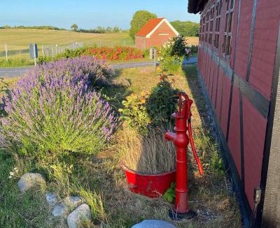 Frørup House | Charming Cottage In The Best Hc Andersen Style
