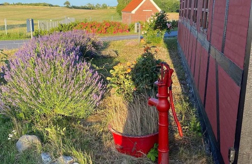 Frørup House | Charming cottage in the best Hc Andersen style