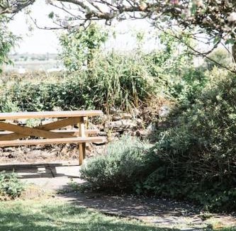 Illogan House | Charming Cottage near Beach!