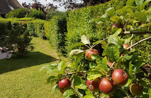 La Cour du Moulin Cottage | Charming cottage on the heights of Houlgate 2 Bedrooms/5 persons
