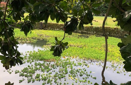 Langoiran House | Charming cottage overlooking the vineyards