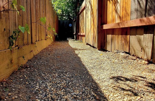 Arden Park Vista Cottage | Charming cottage - Sacramento Oasis