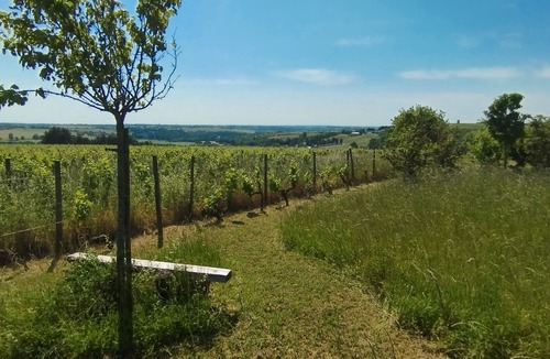 Val-du-Layon Cottage | Charming cottage with vineyard views, 4 beds, terrace and garden