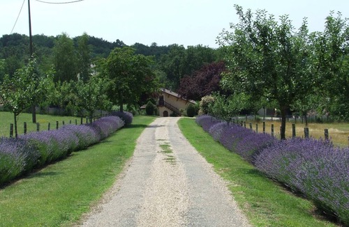 Le Bugue Cottage | Charming Cottage with Shared Heated Pool, Near Bugue, Dordogne