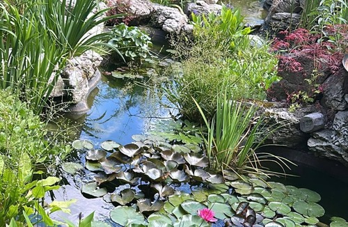 Cobham Cottage | Charming Cottage within Ancient Woodland Forest