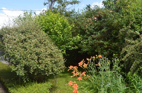 Poulaines Cottage | Charming Country Cottage Near Valençay - 2 Bedrooms, Quiet Garden, Close to Loire Castles & Beauval Zoo
