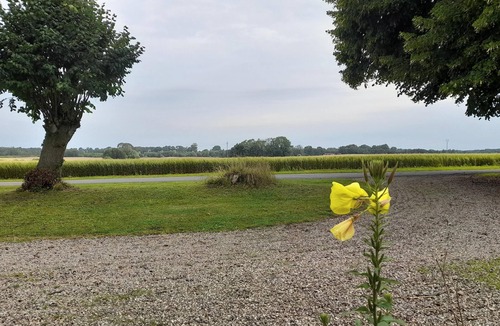 Bogense Apartment | Charming countryside apartment