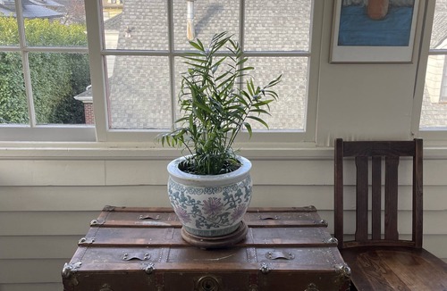 Irvington Apartment | Charming Duplex /Great Central Location in Desired Irvington