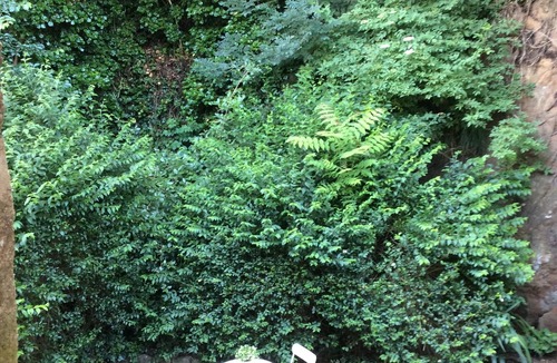 Lanvallay Apartment | Charming duplex Port de DINAN