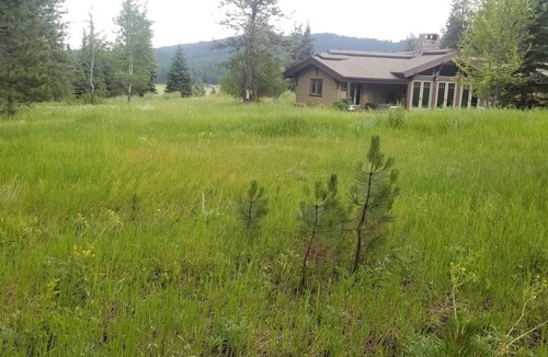 New Meadows House | Charming & Elegant Mountain Home