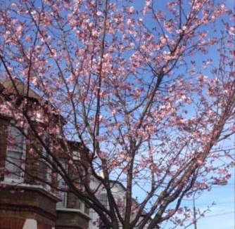 Askew Apartment | CHARMING ENGLISH STYLE STUDIO FLAT