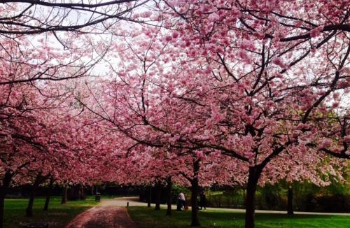 Askew Apartment | CHARMING ENGLISH STYLE STUDIO FLAT