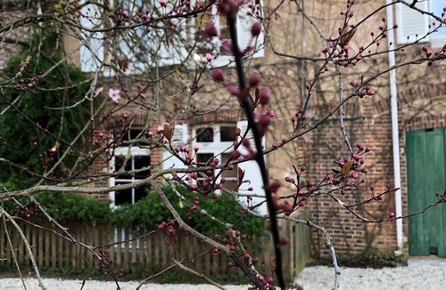 Chateau-Renard House | Charming estates for small and large tribes