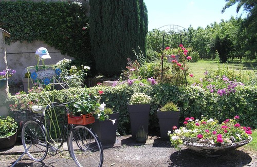 La Chapelle-aux-Choux Cottage | Charming Cottage with Pool and Garden, Near Le Mans