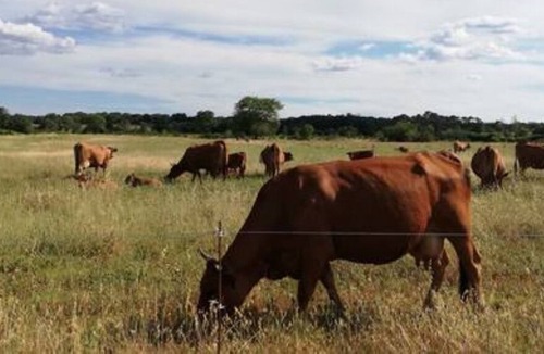 Massillargues-Attuech Ski Chalet | Charming Chalet for 2 people Private SPA