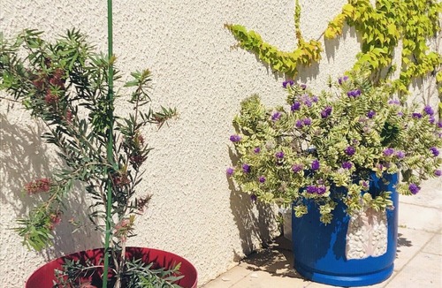 Saint-Georges-d'Orques Apartment | Charming apartment of 50 m2 independant in a beautiful village