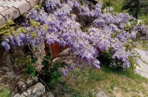 Burzet Apartment | Charming gîte studio in Ardèche verte